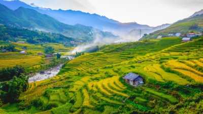 Vietnam Like a Local Private 2 Weeks